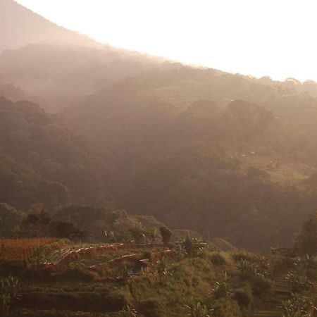 Pondok Kebun Gunung 贝都古 外观 照片